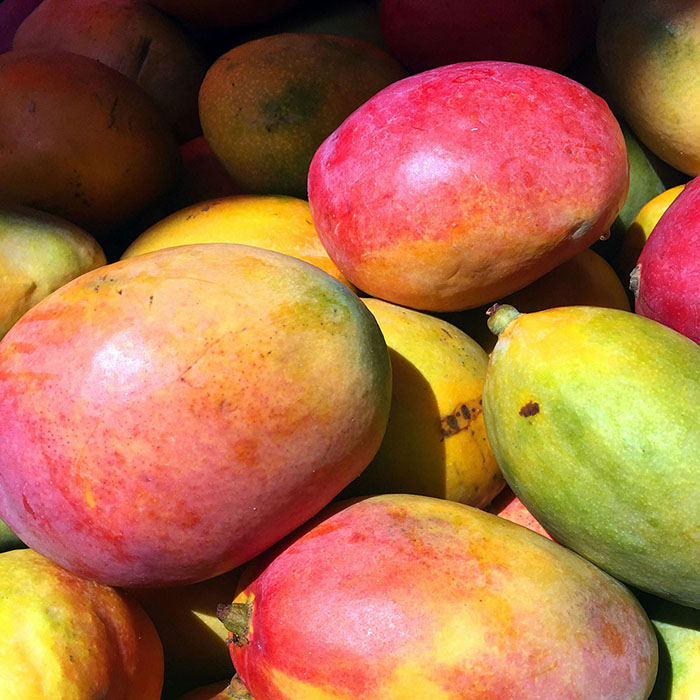 Mango